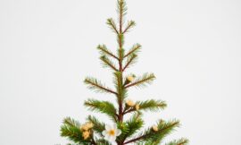 Choinka z gałązek tuji – jak zrobić?