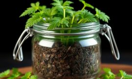 Jak zrobić nawóz z pokrzywy?